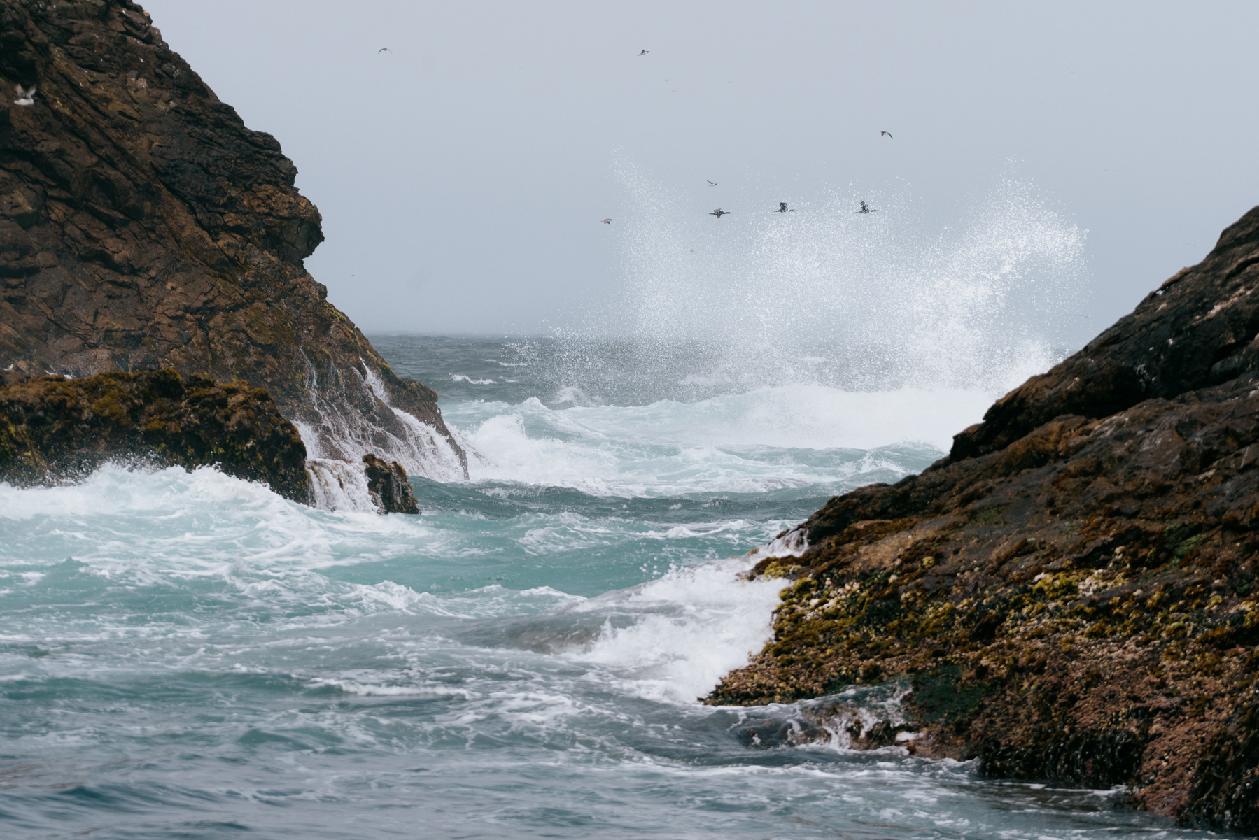 a color photo of some birds flying between rocks in the pacific ocean
