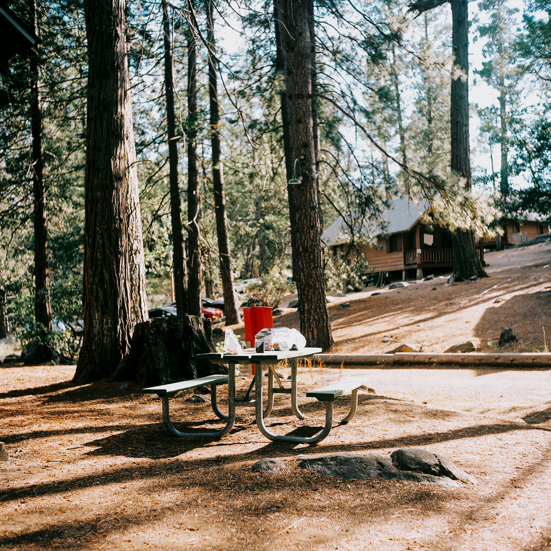 a scan of a color negative of a medium format photo. photo is of a bench set among some trees and cabins