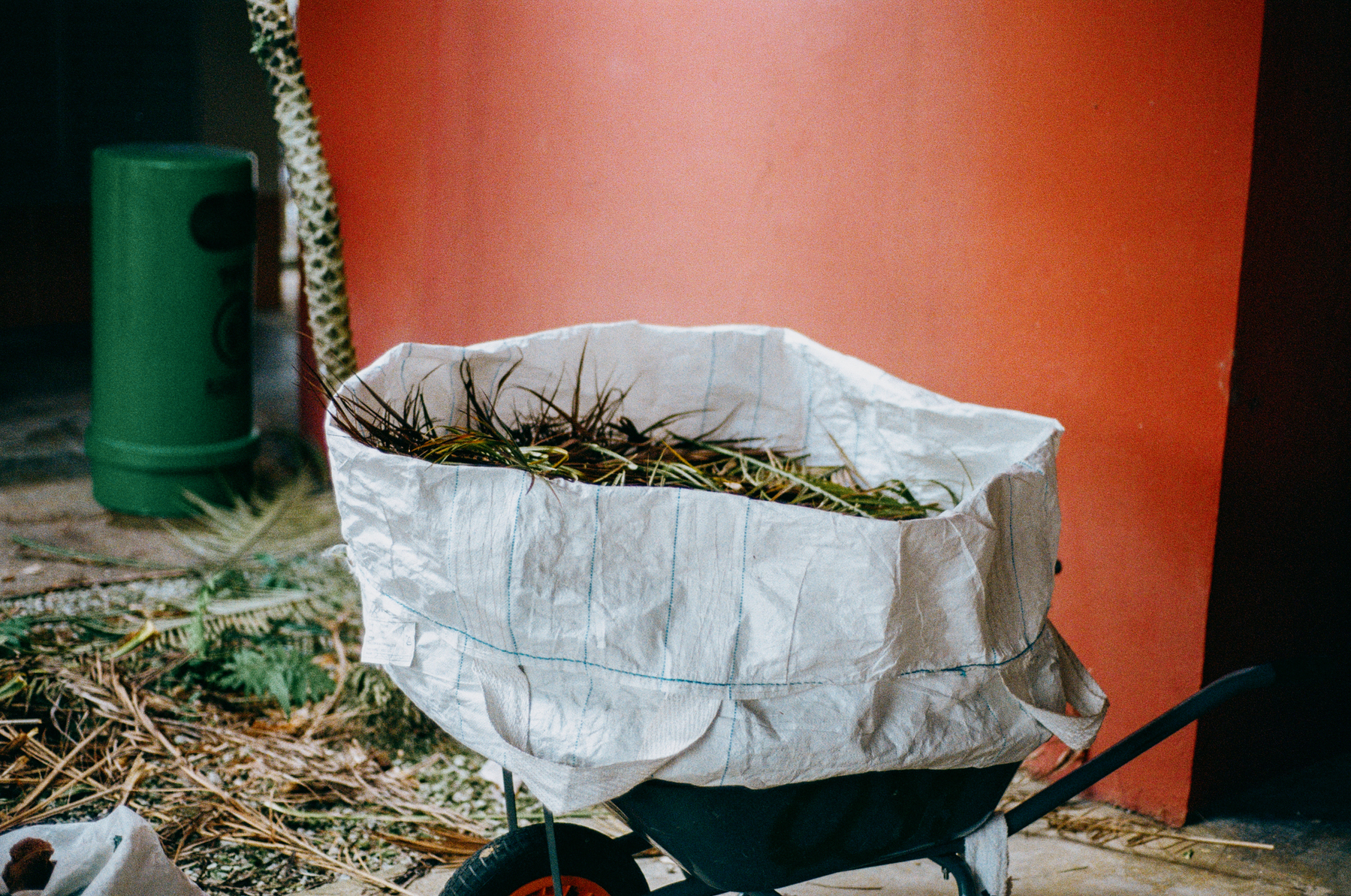 a scan of a color photo of cut grass in a wheelbarrow at the ground floor of a building