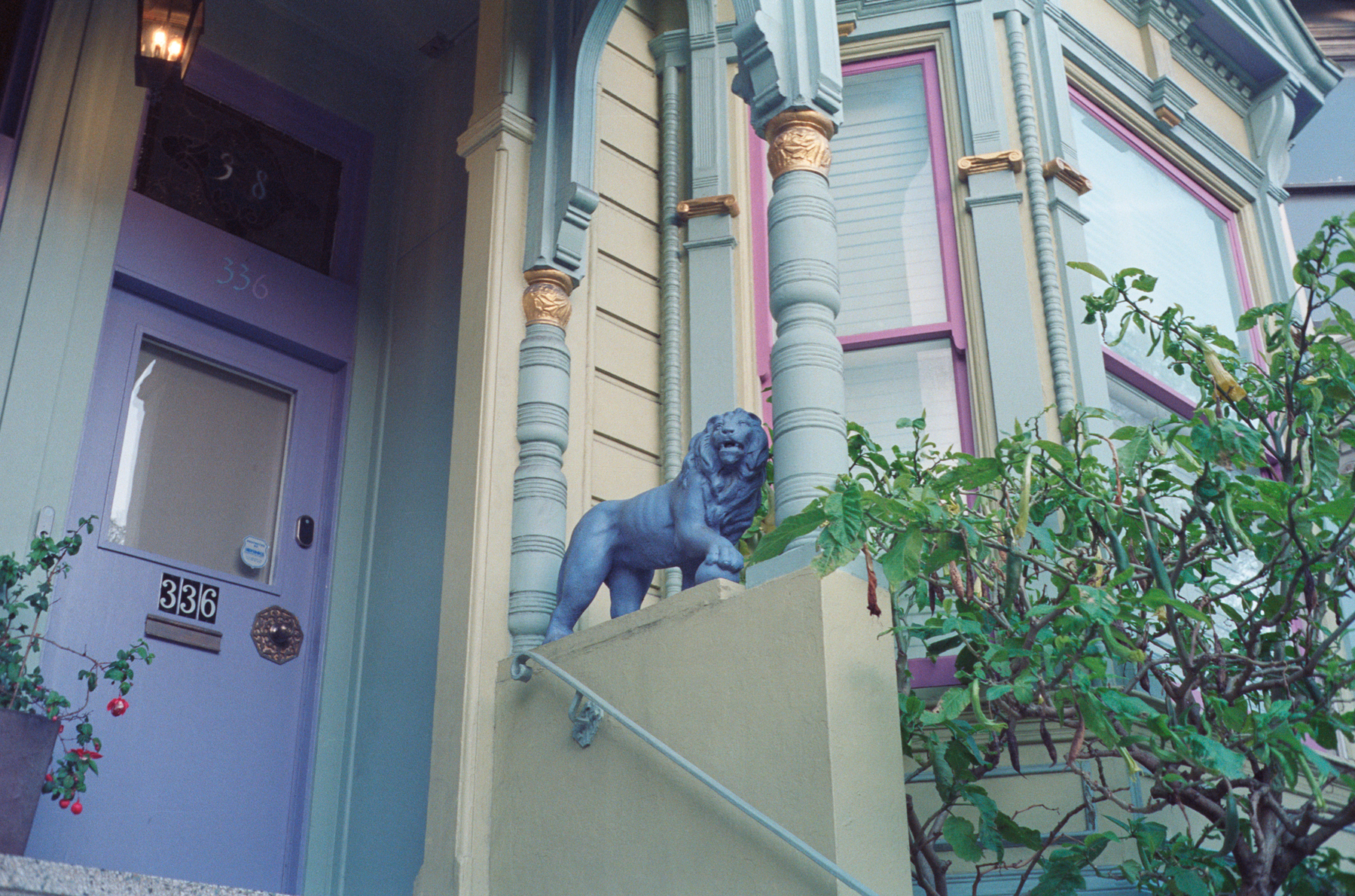 a scan of a color photograph of  the stairs and front doors of a yellow purple and blue Victorian house in San Francisco that has a purple lion on the stoop near its columns