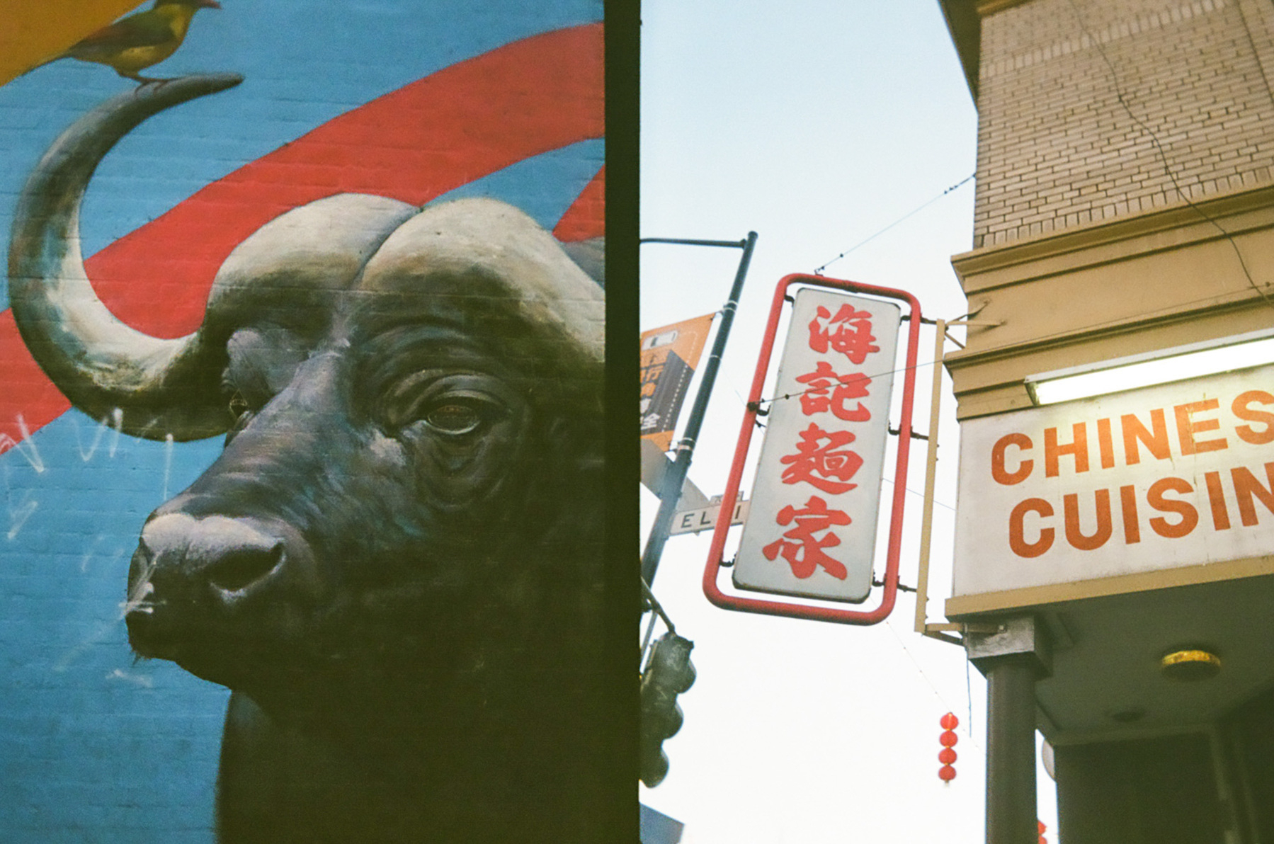 A half frame photo diptych of a Vietnamese Chinese noodle shop in the Tenderloin and a mural of a bull next to it
