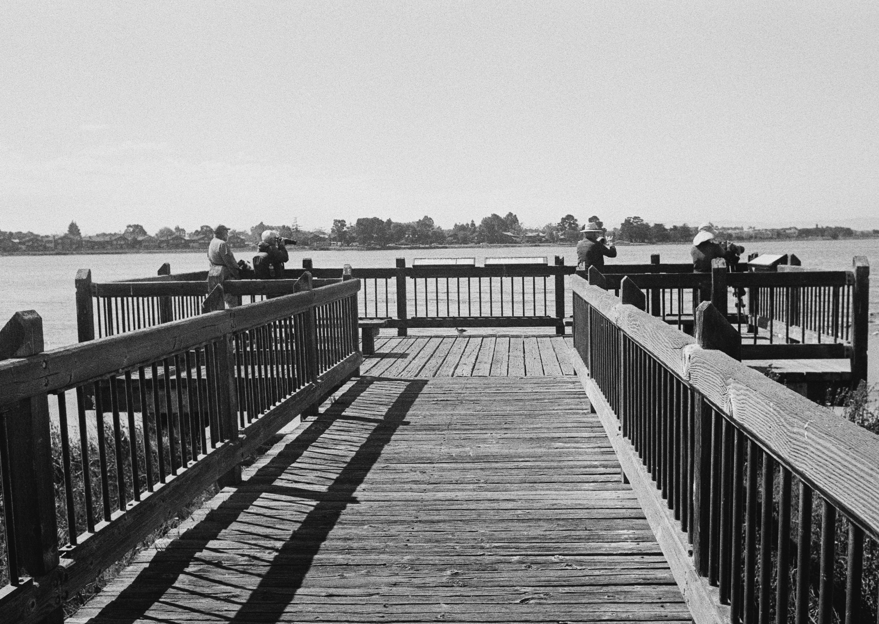 a scan of a black and white photo showing people standing on a wooden boardwalk looking at birds