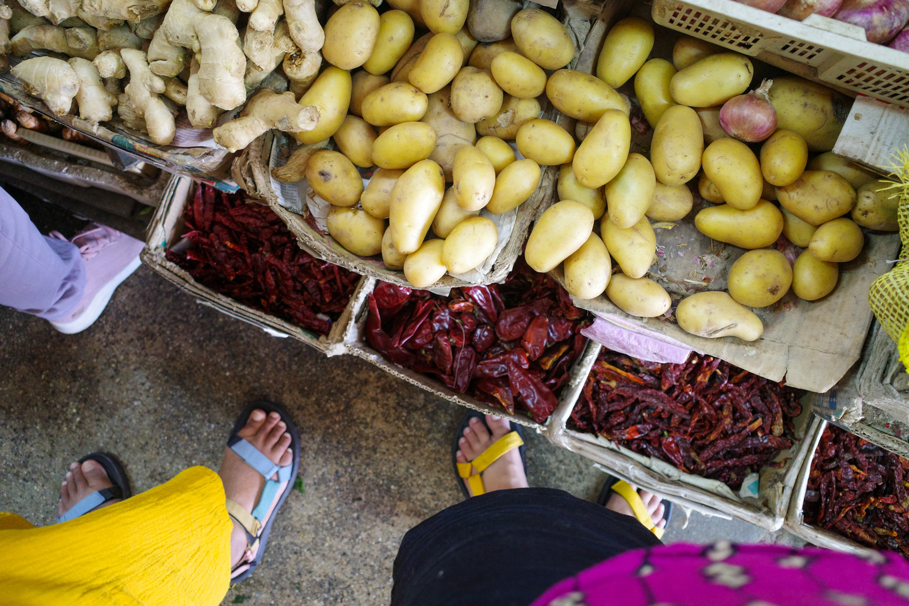 a digital photograph of a few people's feet as they stand near some flowers and other types of local aromatics used in Malaysian cooking