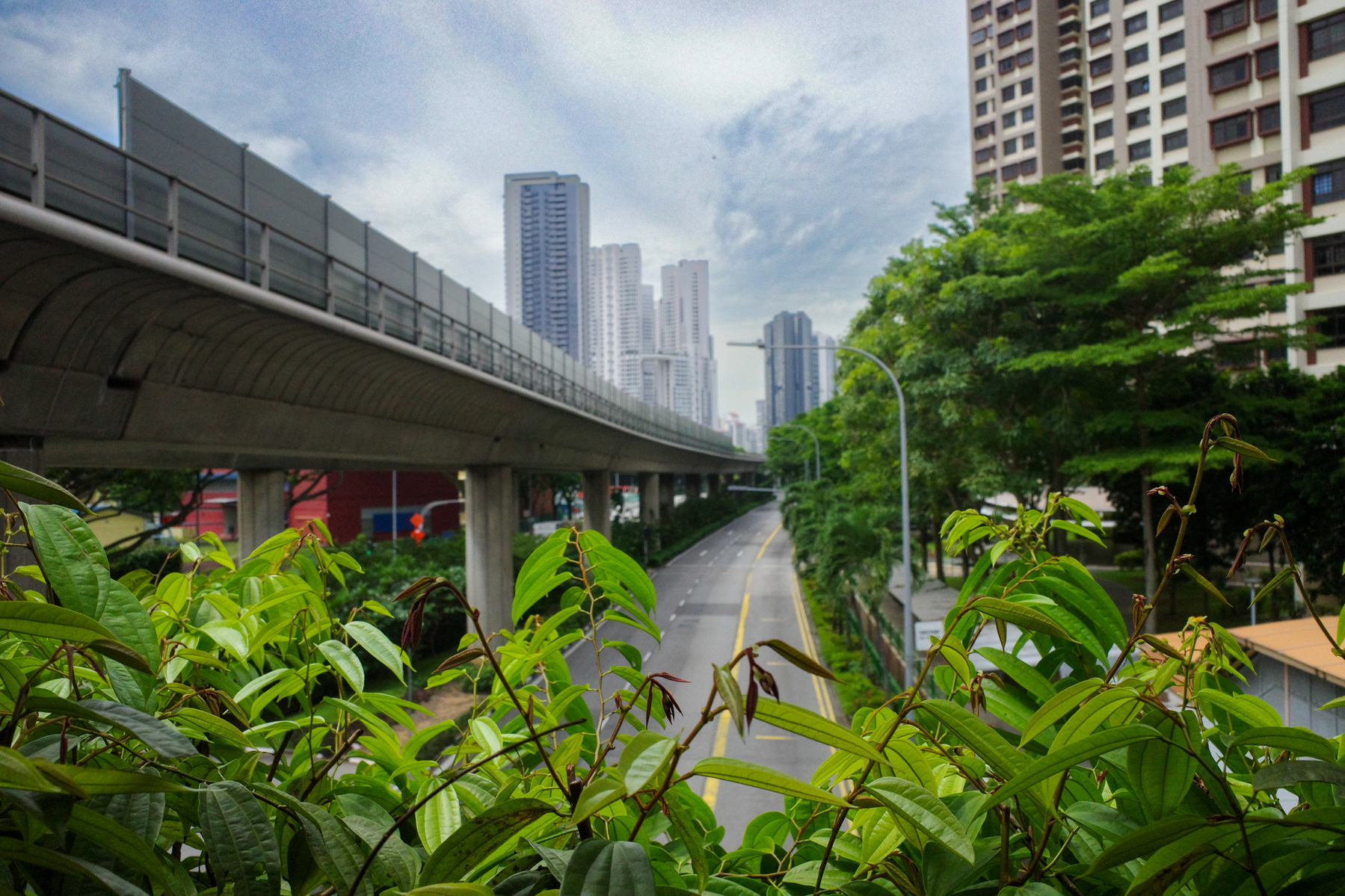 a color photograph of a Singapore subway train station above ground, with tropical plants in the foreground