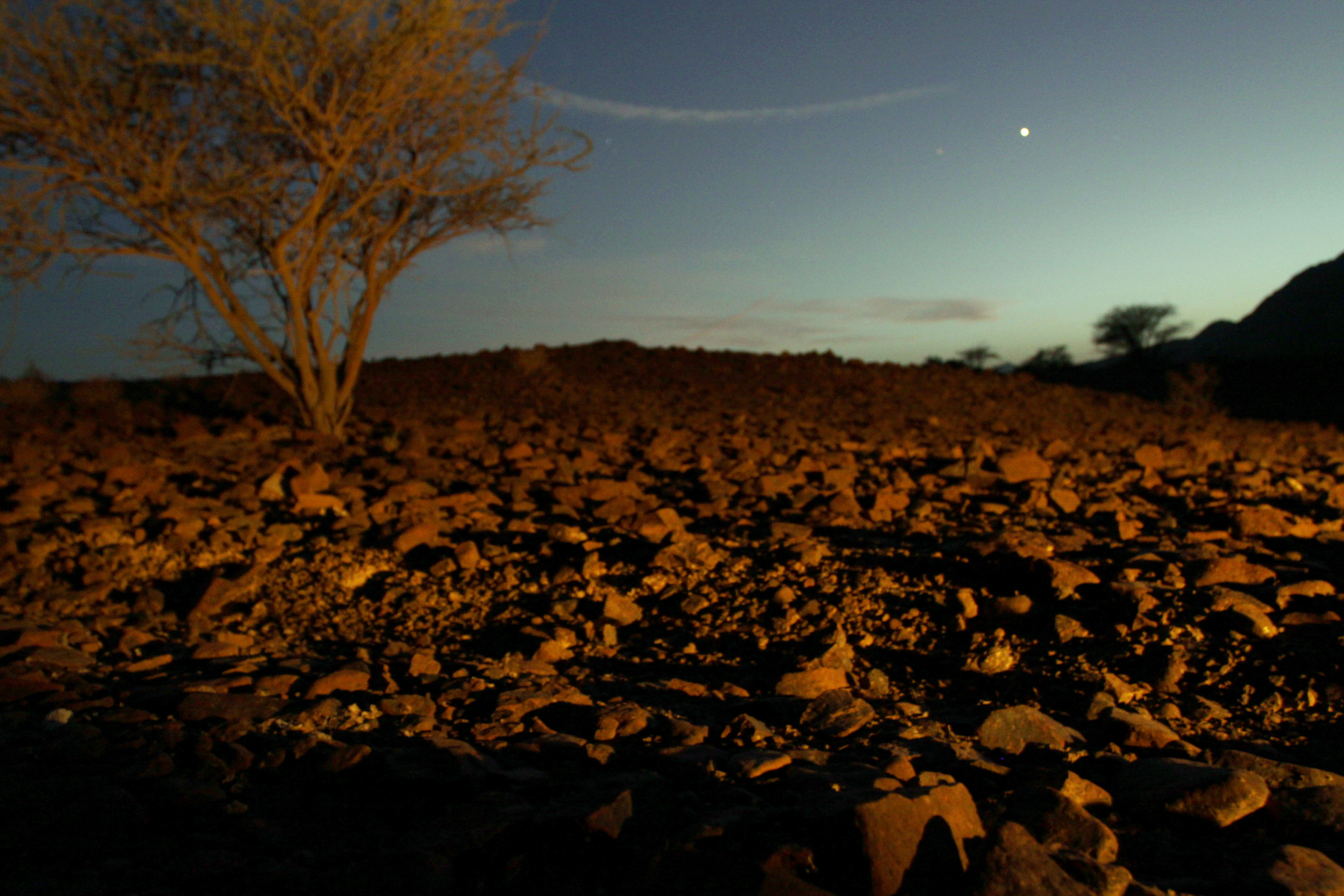 a digital photograph of a night sky in a desert
