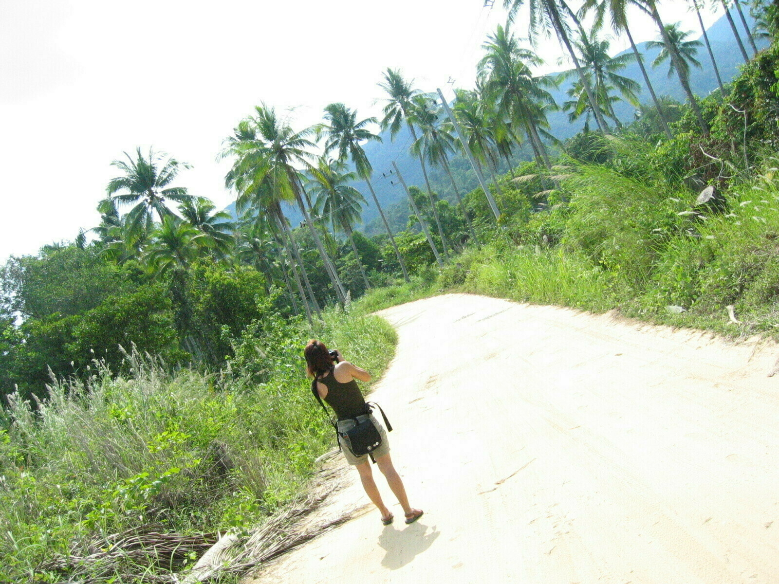 a woman standing in a tropical island taking a photograph of the trees and sandy path