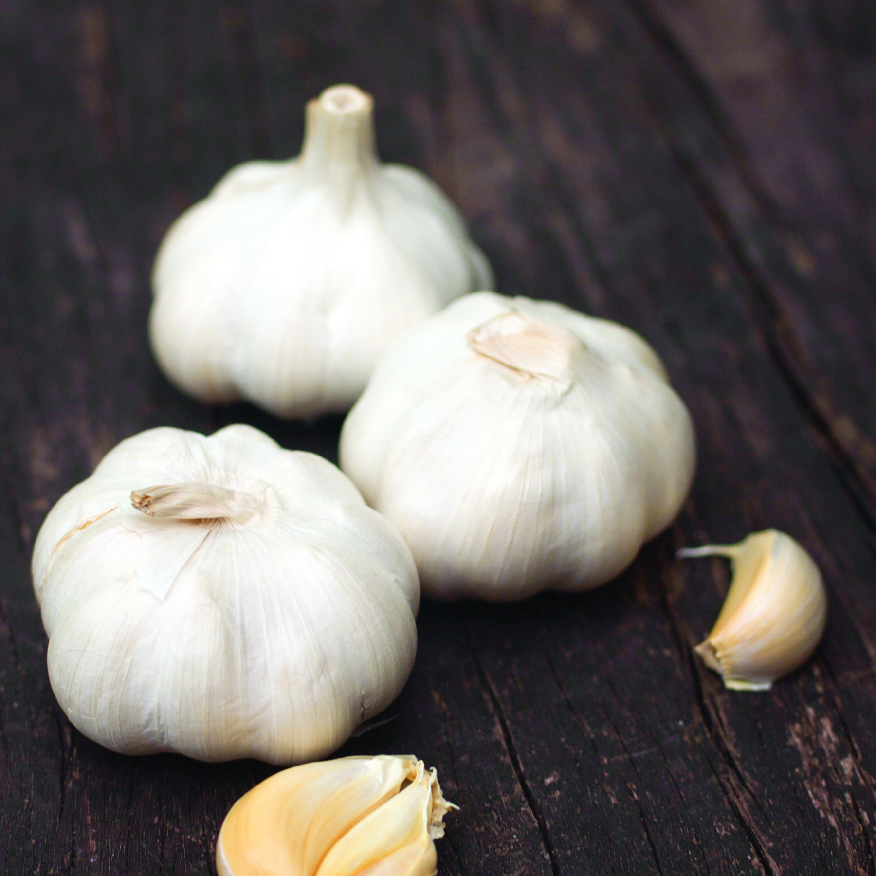 A color photograph of some bulbs of garlic