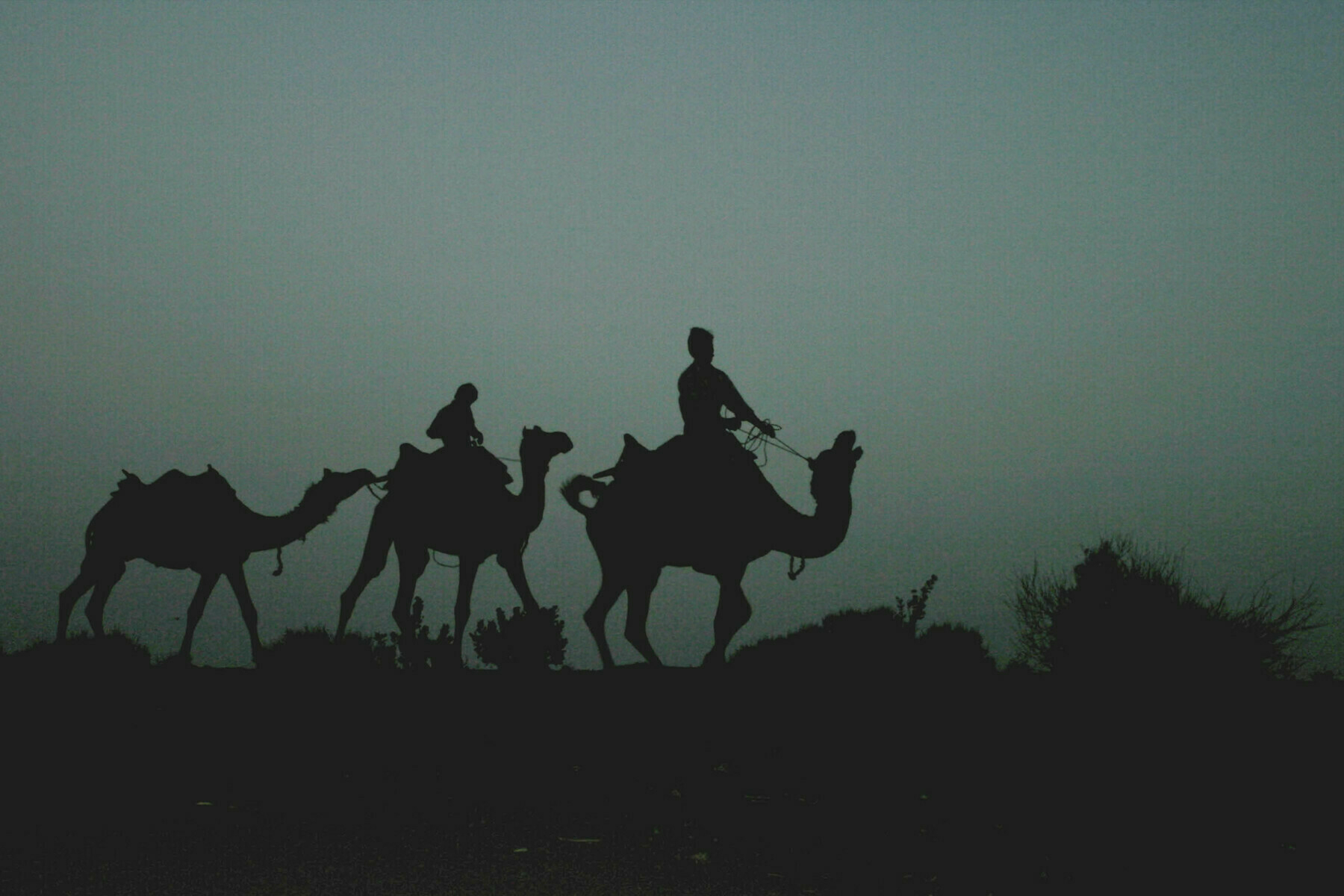 a photo of people riding camels in the dunes in India