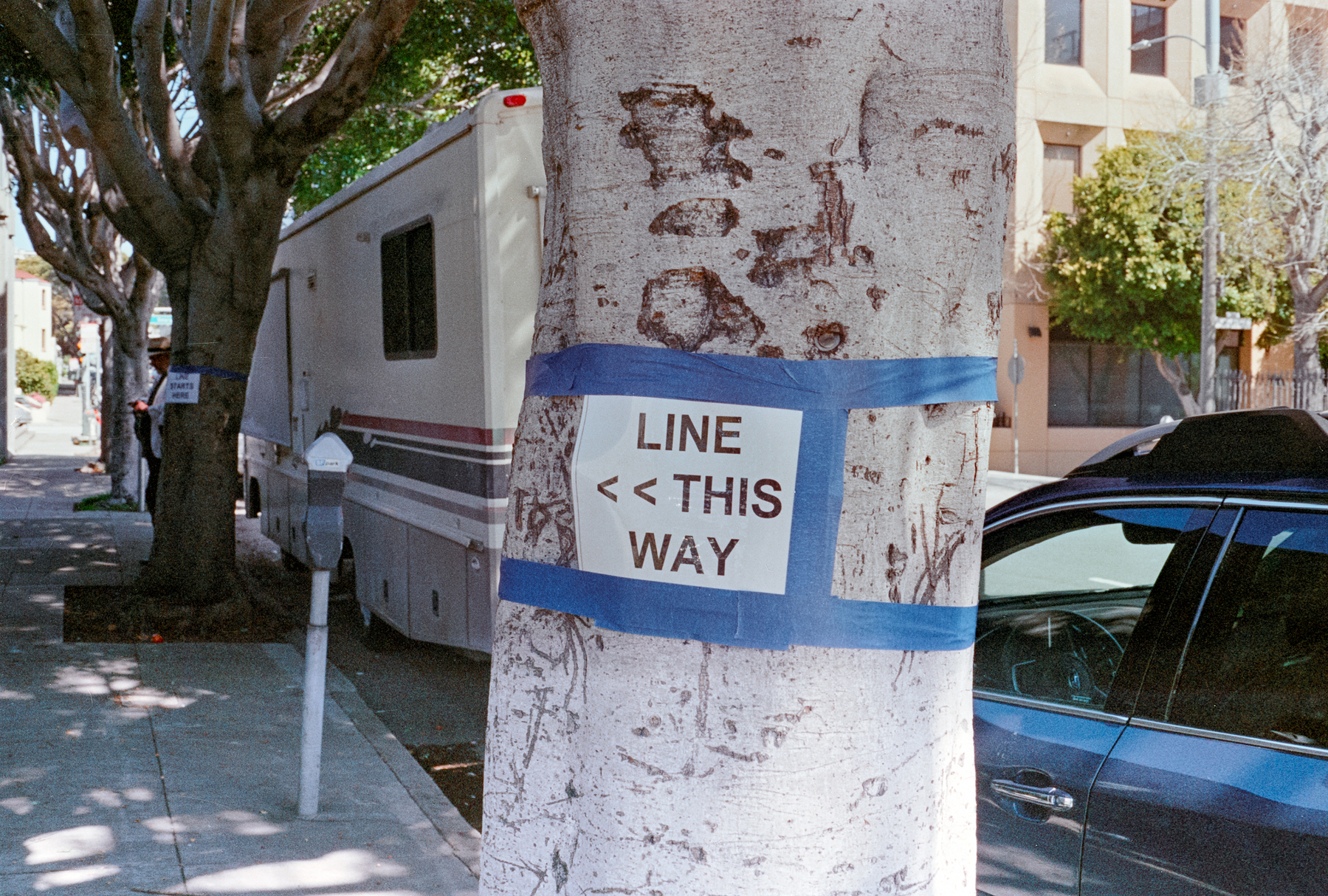 a scan of a color photograph showing a sign on a tree that says Line This Way