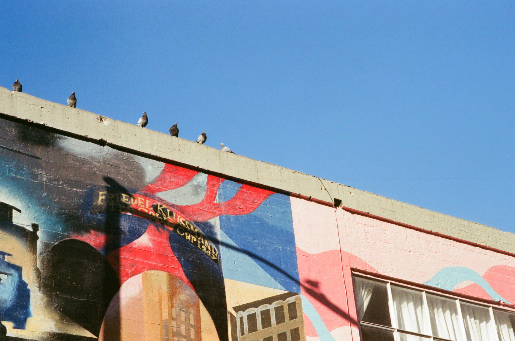 a color photograph of pigeons sitting on a building roof. Blue skies in background. Building has colorful murals on it.