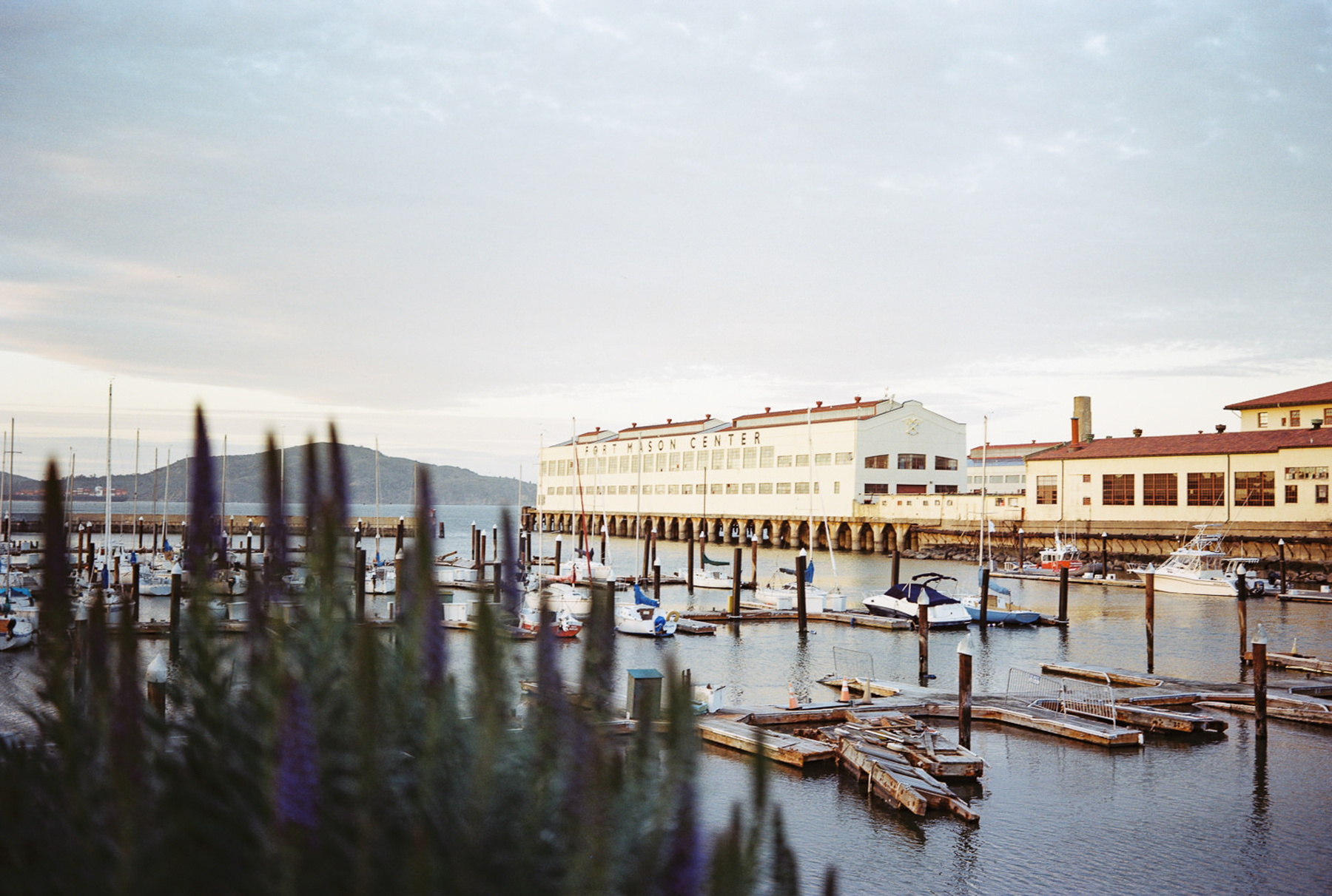 a scan of a medium format film photograph of Fort Mason and some boats from behind some plants