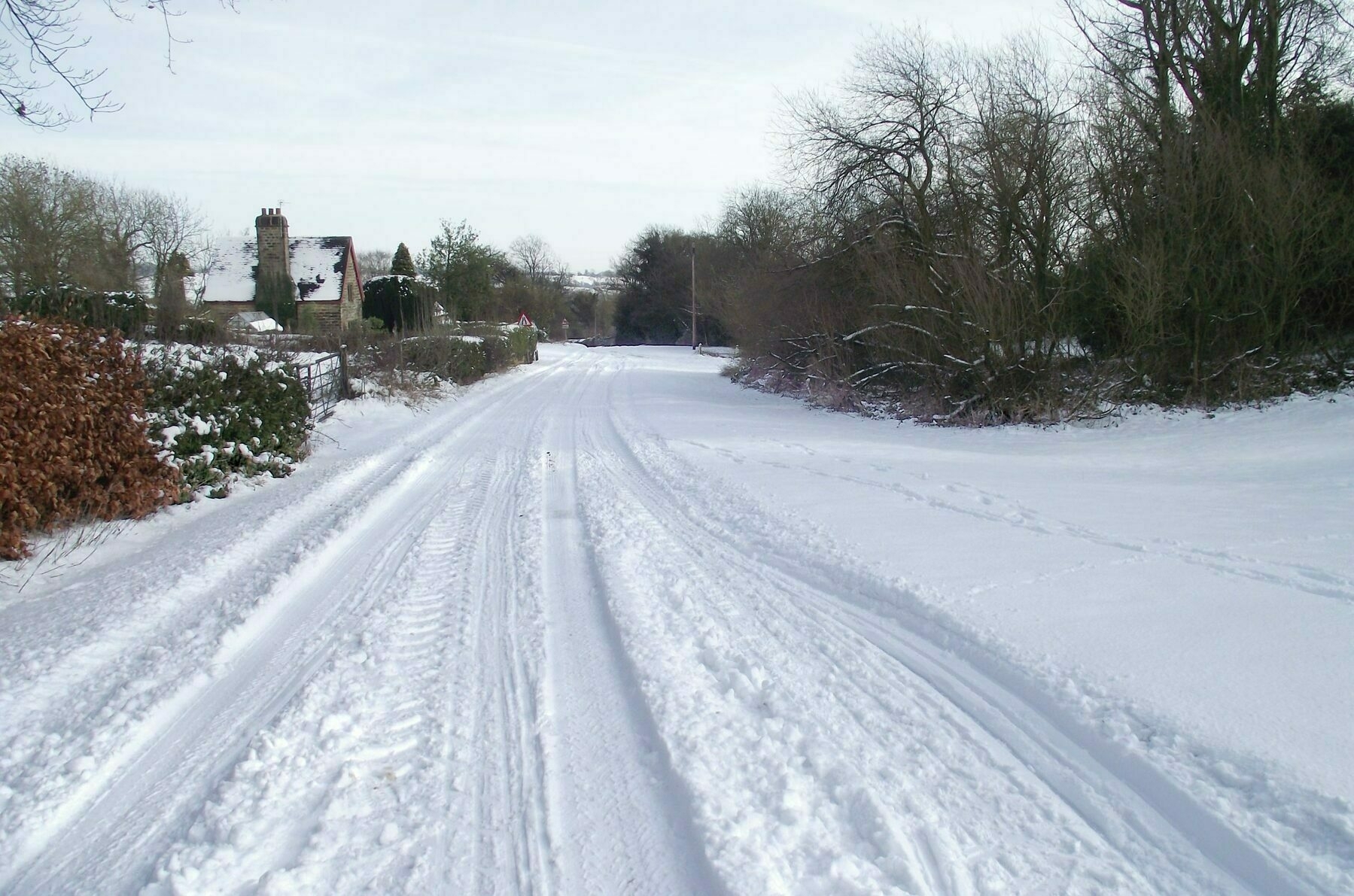 A view looking straight down the centre of a snow-covered road, there are tyre tracks leading away into the distance and trees both sides of the road.
