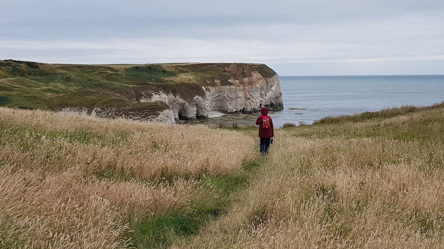 A view out to sea from the cliffs at Flamborough Head. A person is seen from the back as she walks along a track through long, dry grasses towards the edge of the cliff. 