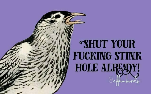 A painting of a bird beside the text "Shut your fucking stink hole already"