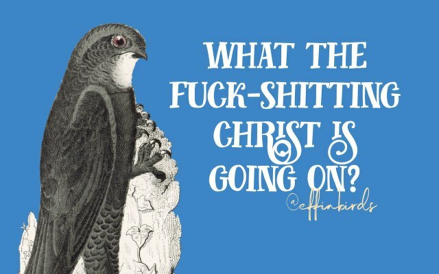 A painting of a bird beside the text "what the fuck-shitting christ is going on?"
