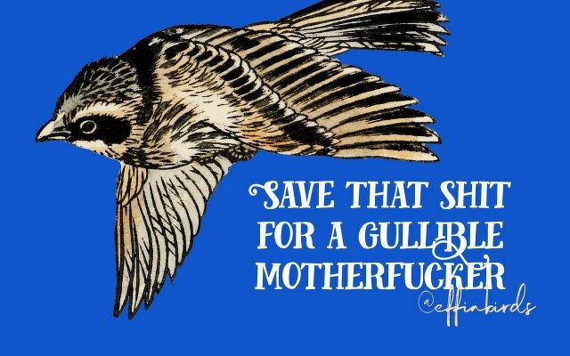 A painting of a bird beside the text "Save that shit for a gullible motherfucker"