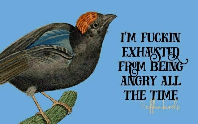 A painting of a bird beside the text "i'm fuckin exhausted from being angry all the time"