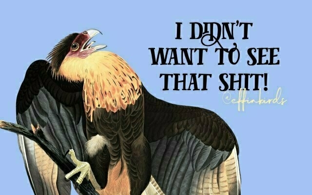A painting of a bird beside the text "i didn't want to see that shit!"