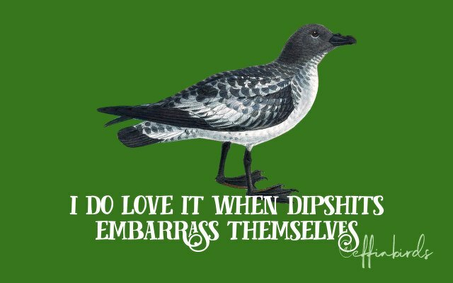 A painting of a bird beside the text "i do love it when dipshits embarrass themselves"