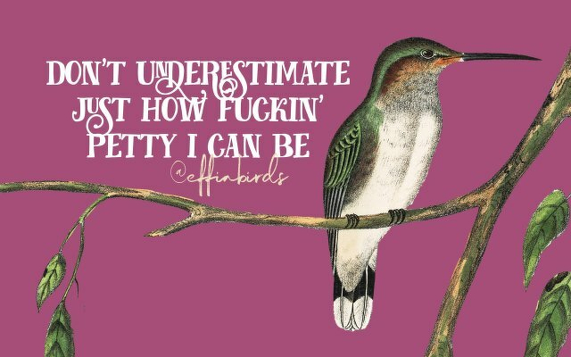 A painting of a bird beside the text "don't underestimate just how fuckin' petty i can be"
