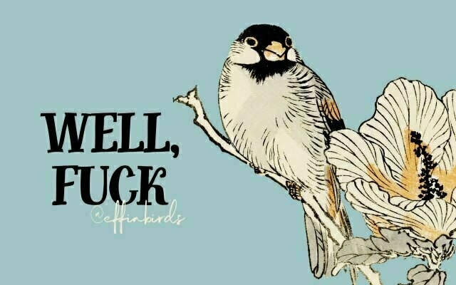 A painting of a bird beside the text "well, fuck"