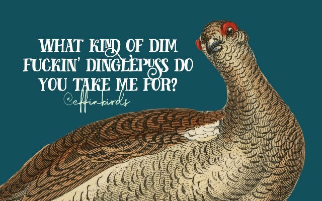 A painting of a bird beside the text "what kind of dim fuckin' dinglepuss do you take me for"