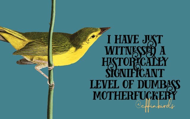 A painting of a bird beside the text "i have just witnessed a historically significant level of dumbass motherfuckery"