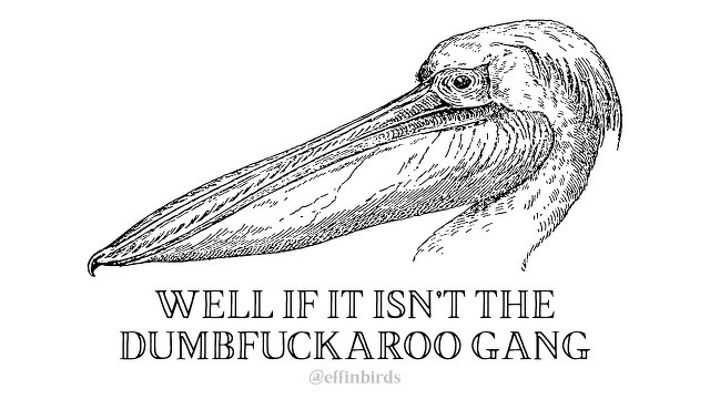 A woodcut of a bird beside the text "WELL IF IT ISN’T THE DUMBFUCKAROO GANG" 