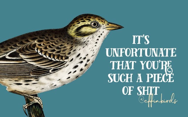 A painting of a bird beside the text "it's unfortunate that you're such a piece of shit"