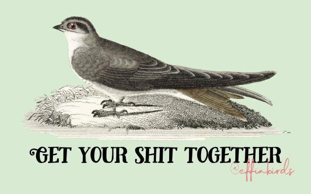 A painting of a bird beside the text "Get your shit together"