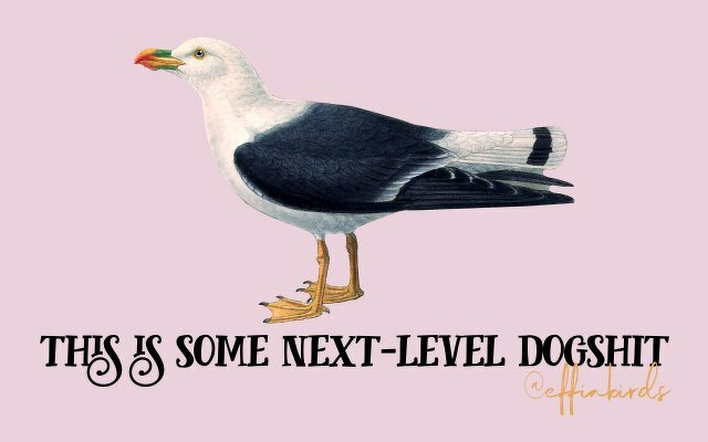 A painting of a bird beside the text "this is some next-level dogshit"
