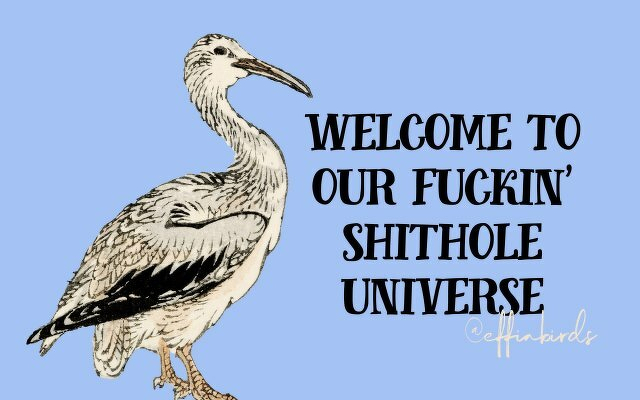 A painting of a bird beside the text "welcome to our fuckin' shithole universe"