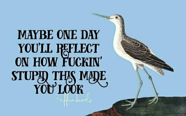 A painting of a bird beside the text "maybe one day you'll reflect on how fuckin' stupid this made you look"