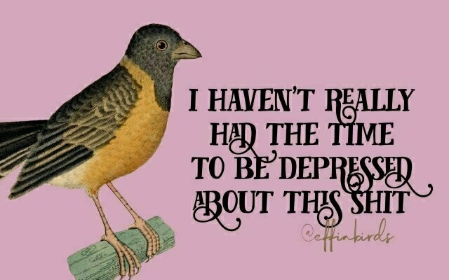 A painting of a bird beside the text "i haven't really had the time to be depressed about this shit"