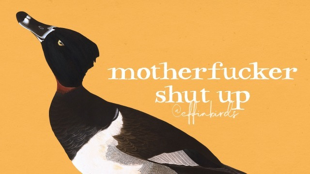 A painting of a bird beside the text "motherfucker shut up"