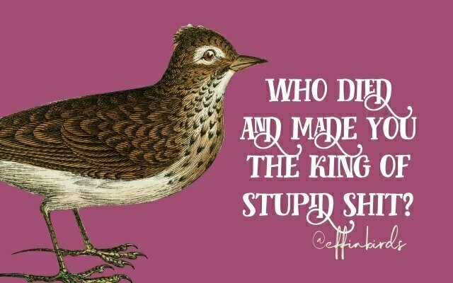 A painting of a bird beside the text "who died and made you the king of stupid shit"