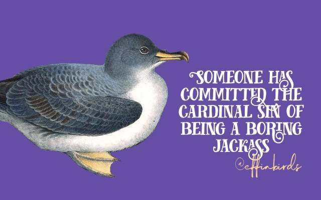 A painting of a bird beside the text "Someone has committed the cardinal sin of being a boring jackass"