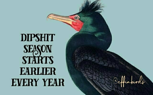 A painting of a bird beside the text "dipshit season starts earlier every year"