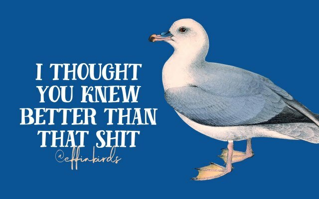 A painting of a bird beside the text "i thought you knew better than that shit"