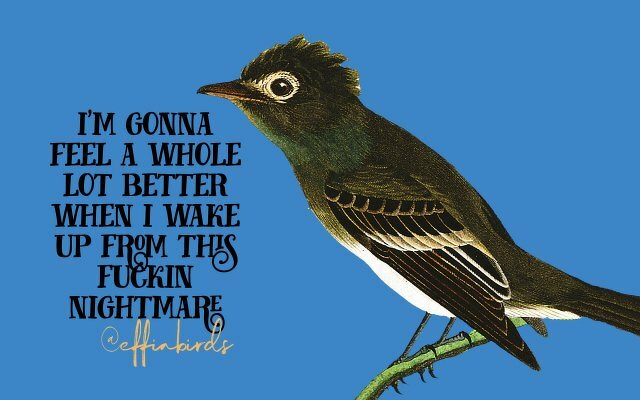A painting of a bird beside the text "i'm gonna feel a whole lot better when i wake up from this fuckin nightmare"