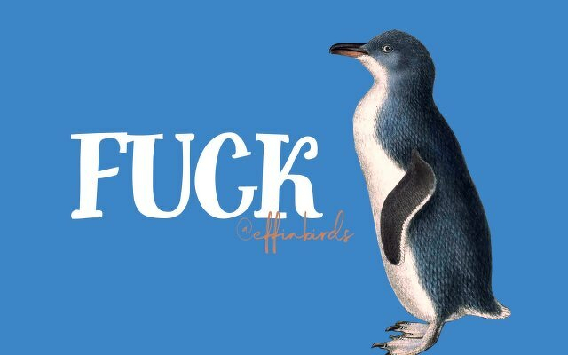 A painting of a bird beside the text "fuck"