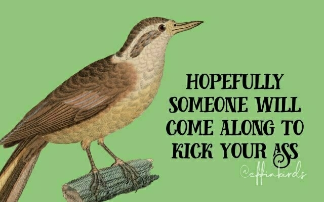 A painting of a bird beside the text "hopefully someone will come along to kick your ass"