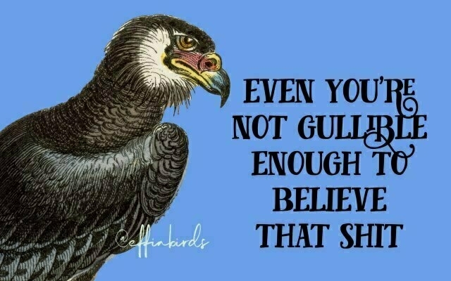 A painting of a bird beside the text "even you're not gullible enough to believe that shit"