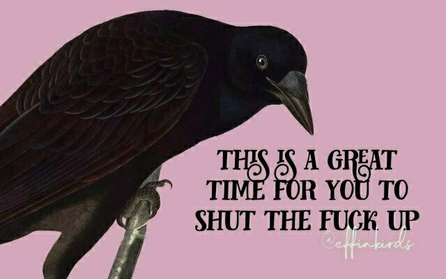 A painting of a bird beside the text "this is a great time for you to shut the fuck up"