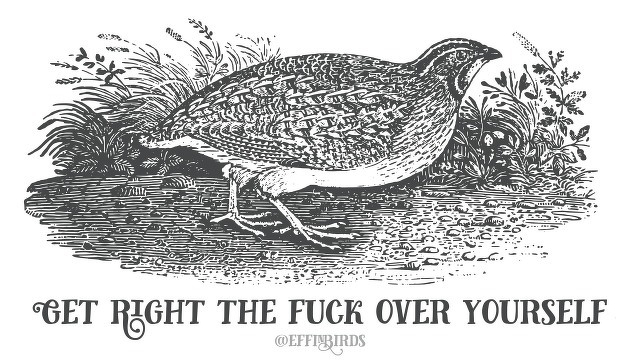 A woodcut of a bird beside the text "get right the fuck over yourself" 