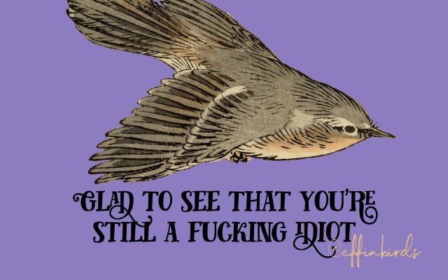 A painting of a bird beside the text "Glad to see that you're still a fucking idiot" 