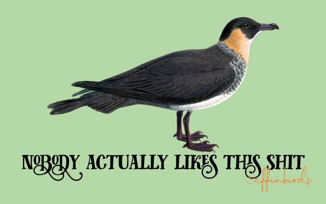 A painting of a bird beside the text "nobody actually likes this shit"