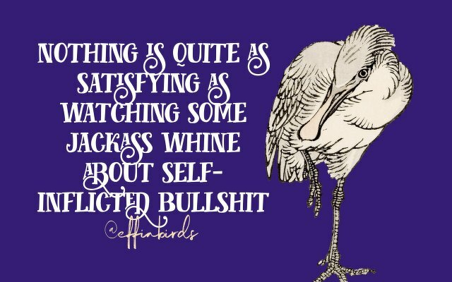 A painting of a bird beside the text "nothing is quite as satisfying as watching some jackass whine about self-inflicted bullshit"