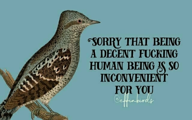 A painting of a bird beside the text "Sorry that being a decent fucking human being is so inconvenient for you"