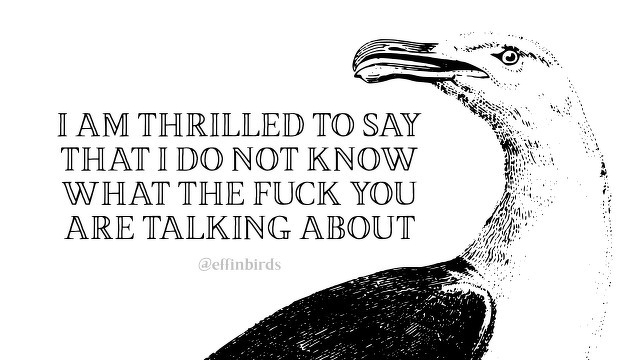 A woodcut of a bird beside the text "I AM THRILLED TO SAY THAT I DO NOT KNOW WHAT THE FUCK YOU ARE TALKING ABOUT"